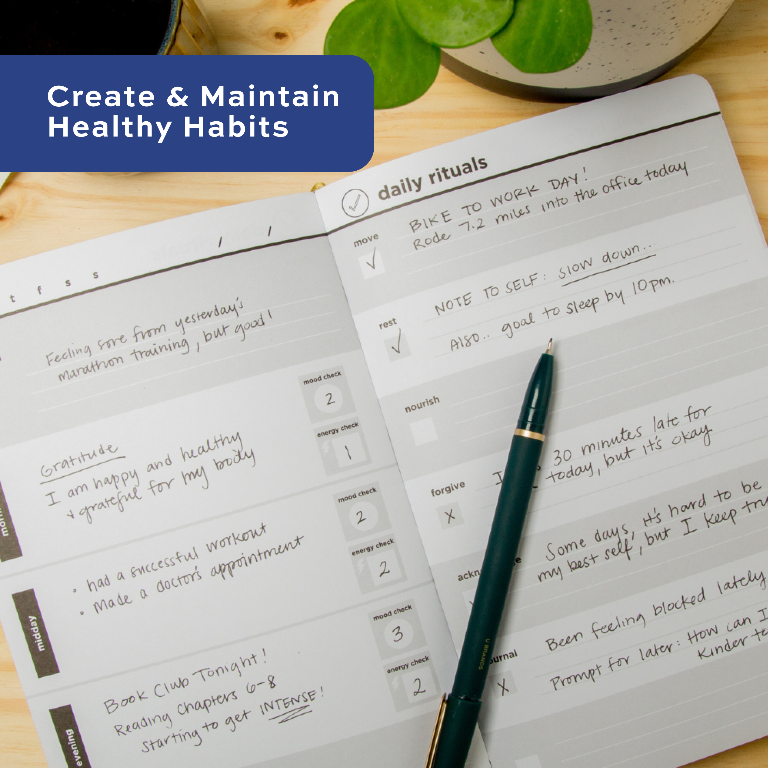 Classic Daybook Yearly Bundle ($109)