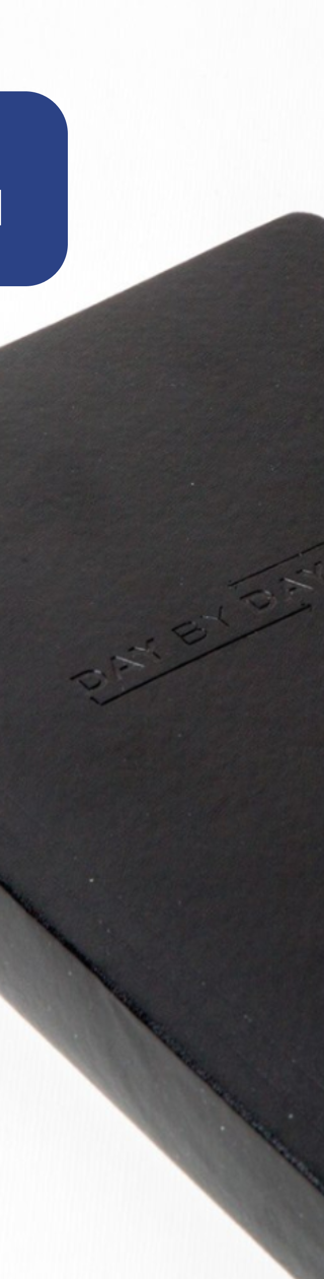 Recovery Daybook