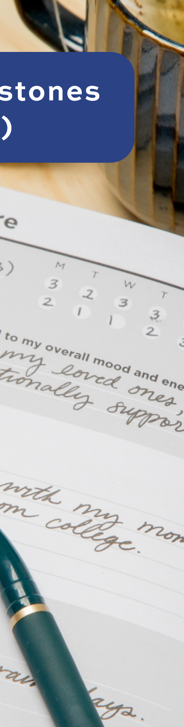 Recovery Daybook