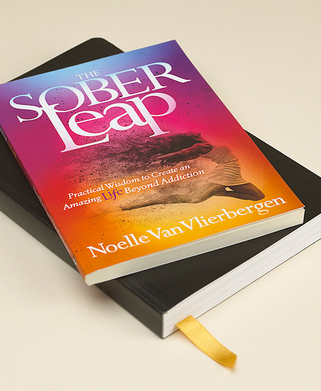 Recovery Daybook & Sober Leap Bundle