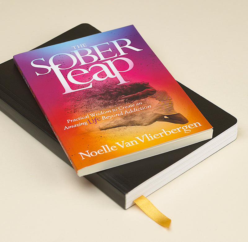 Recovery Daybook & Sober Leap Bundle