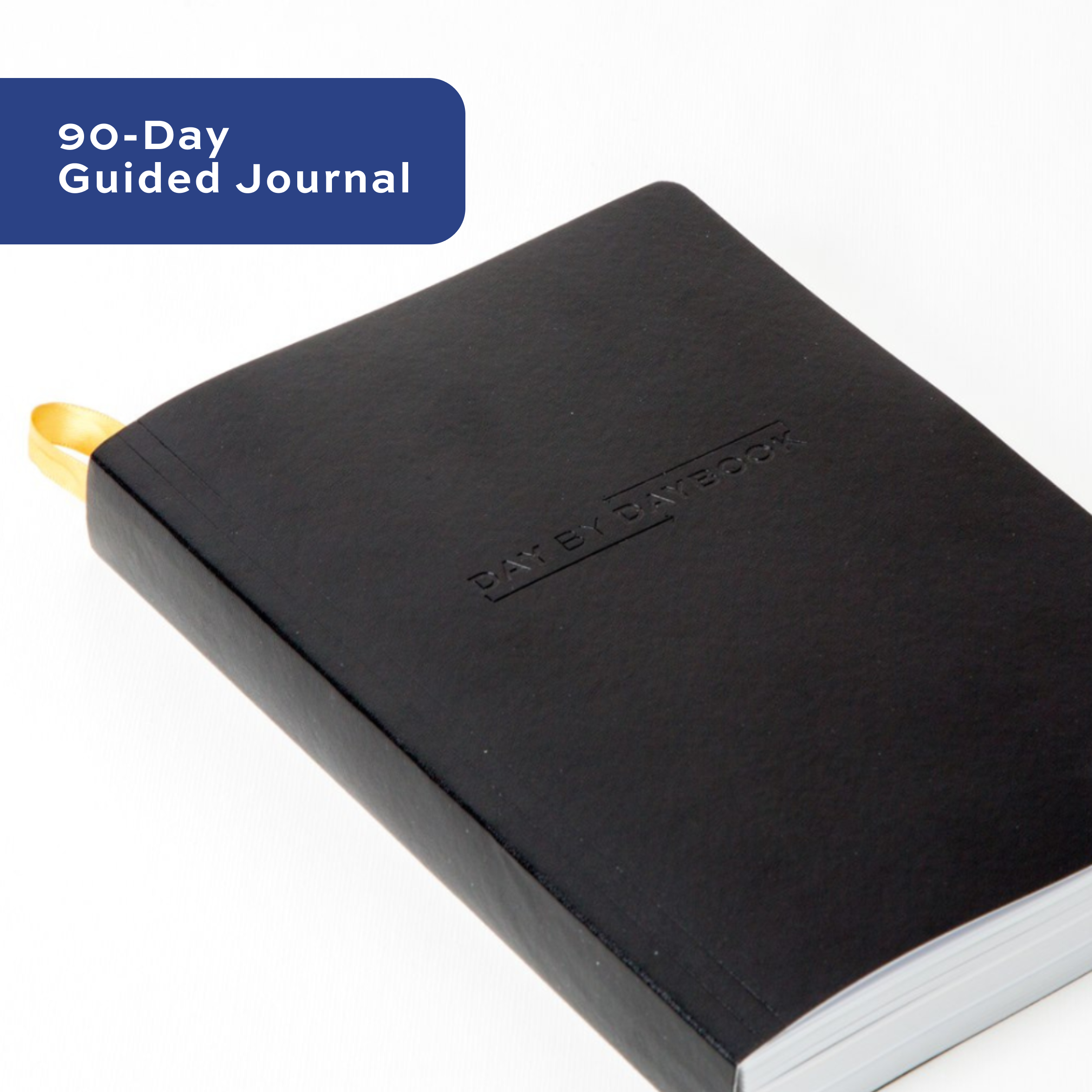 Recovery Daybook